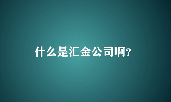 什么是汇金公司啊?
